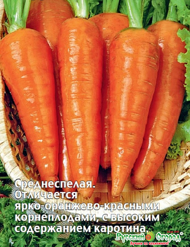 Морковь Ред Кор Тимирязевский питомник