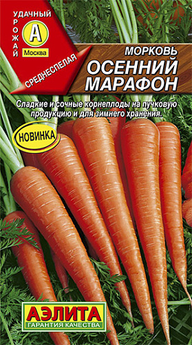 Морковь Осенний марафон
